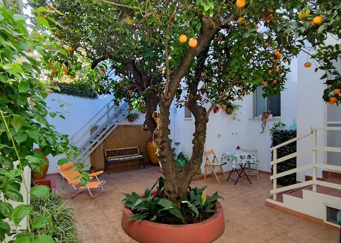 Casa Sofia: Comodi E Tranquilli